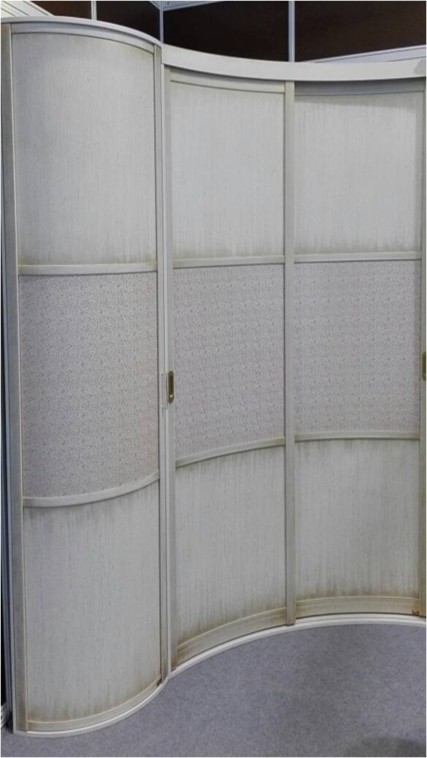 Радиусный комбинированный шкаф-купе Саранск
