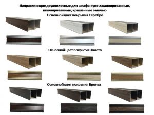 Направляющие двухполосные для шкафа купе ламинированные, шпонированные, крашенные эмалью Саранск